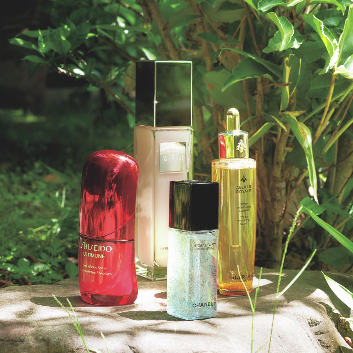 アベイユ ロイヤル ウォータリー オイル セロム　50ml　リニューアル　ゲラン アベイユ ロイヤル ウォータリー オイル セロム / ゲラン(美容液