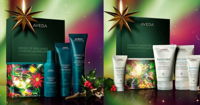 アヴェダAVEDA スキンケアセット