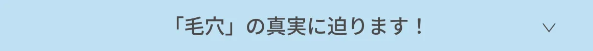 「毛穴」の真実に迫ります!