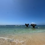 沖縄、シトラスが最も美しく香る場所｜石坂将「旅するフレグランスノート」vol.3
