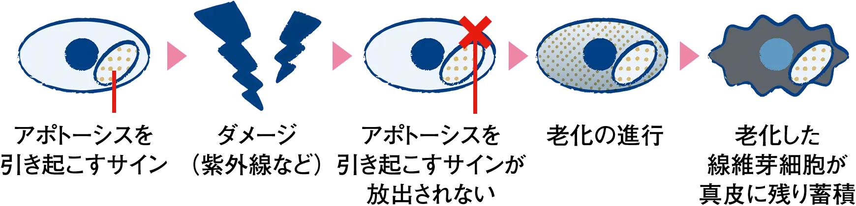 図