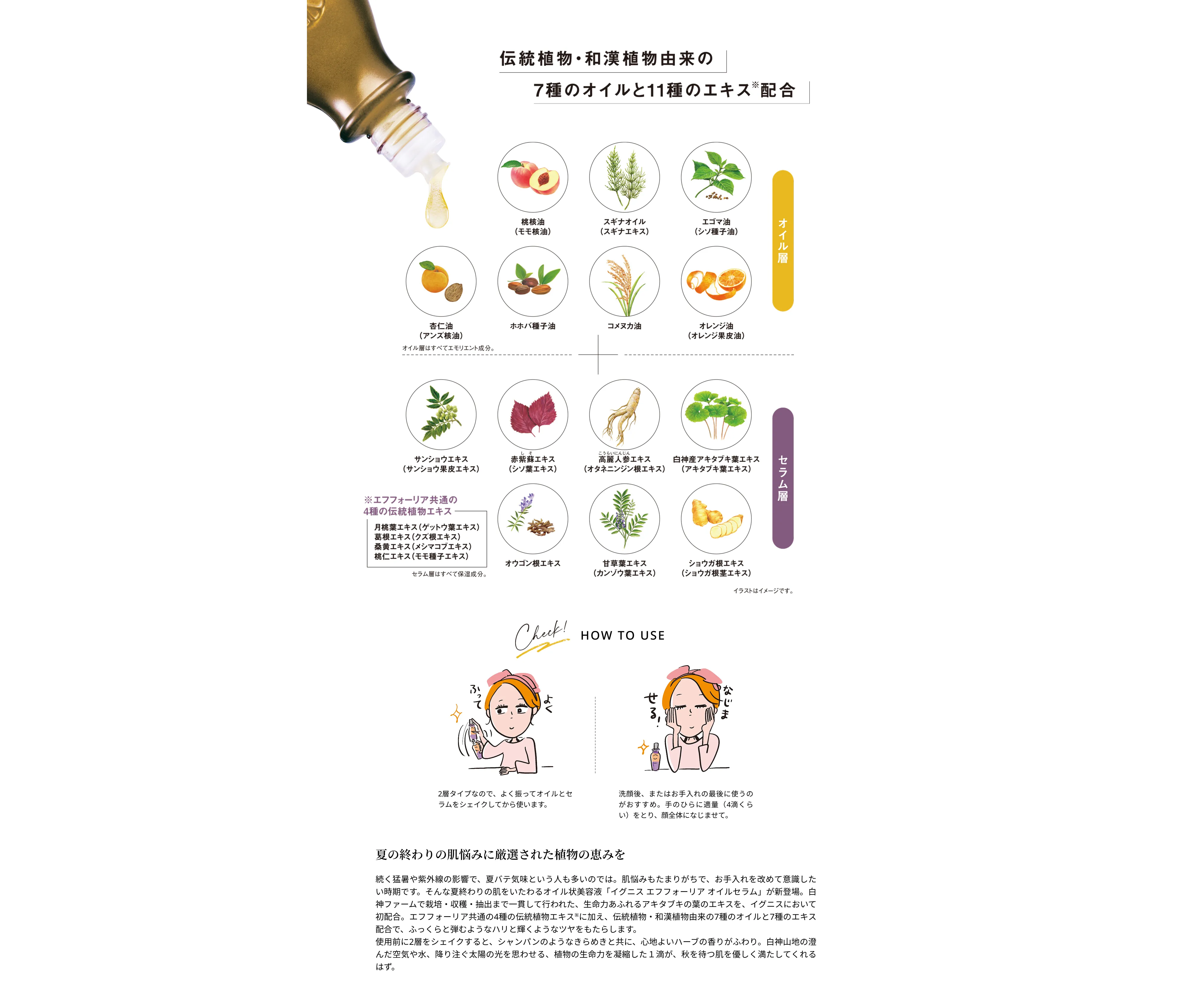 伝統植物・和漢植物由来の7種のオイルと11種のエキス配合