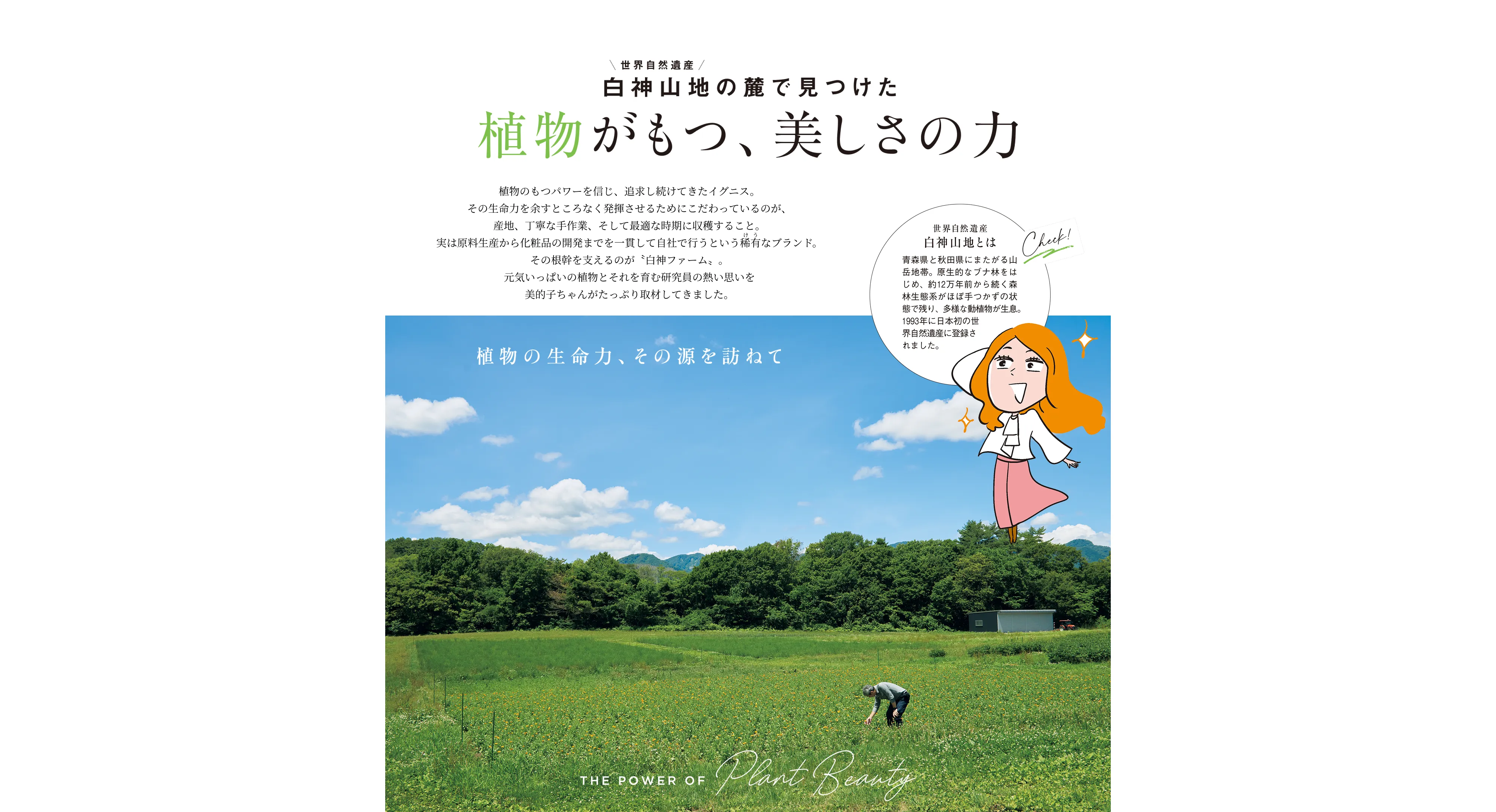 植物がもつ、美しさの力