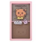 コントゥアパウダー イルミネイター Etude × choigosim コラボ限定［2026年 11月発売］